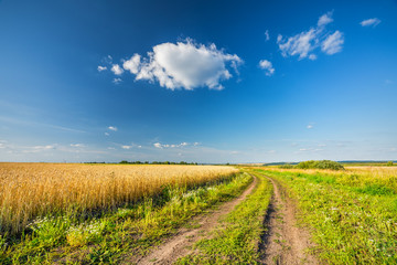 Fototapeta na wymiar Rural landscape with ground road, wheat field and blue sky in a countryside at summer day