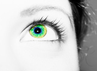 A beautiful insightful look eye. Close up shot