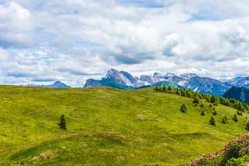Fototapeta premium Alpe di Siusi, Seiser Alm with Sassolungo Langkofel Dolomite, a large green field with a mountain in the background
