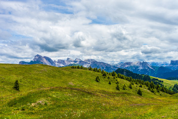 Alpe di Siusi, Seiser Alm with Sassolungo Langkofel Dolomite, a large green field with a mountain in the background