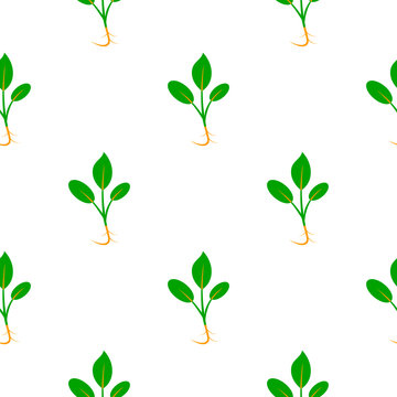 Microgreens. Sprouting seeds of a plant. Seamless pattern.