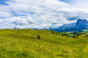 Alpe di Siusi, Seiser Alm with Sassolungo Langkofel Dolomite, a large green field with a mountain in the background