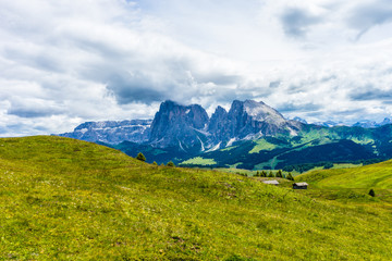 Fototapeta premium Alpe di Siusi, Seiser Alm with Sassolungo Langkofel Dolomite, a large green field with a mountain in the background
