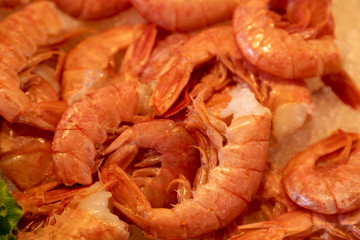 Garnelen auf einem Fischmarkt in Venedig