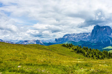 Fototapeta premium Alpe di Siusi, Seiser Alm with Sassolungo Langkofel Dolomite, a large green field with a mountain in the background