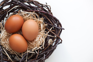 Easter! Chicken eggs in a nest with branches, agriculture. Easter eggs on the table in the nest. Beige Easter eggs. Eggs on a white background. Horizontal image.