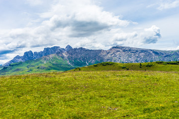 Alpe di Siusi, Seiser Alm with Sassolungo Langkofel Dolomite, a large green field with a mountain in the background