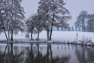 Frozen Lake Reflection in French Countryside during Christmas Season / Winter