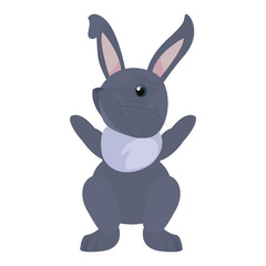 cute rabbit animal