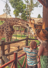 family in zoo park © avtk