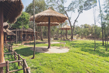 Safari park in Phu Quoc