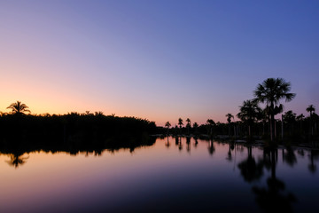 Fototapeta na wymiar Reflection of the palm trees in the lagoon Lagoa das Araras at sunrise, Bom Jardim, Mato Grosso, Brazil, South America