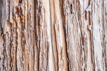 Old rustic wood texture background