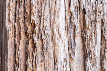 Old rustic wood texture background