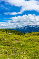 Obraz premium Alpe di Siusi, Seiser Alm with Sassolungo Langkofel Dolomite, a large green field with a mountain in the background