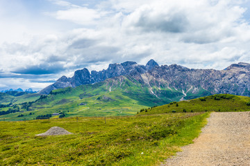 Alpe di Siusi, Seiser Alm with Sassolungo Langkofel Dolomite, a field with a mountain in the background