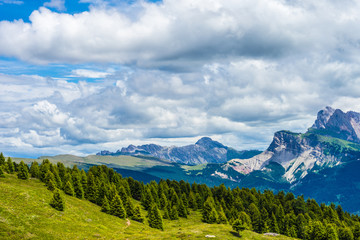 Fototapeta premium Alpe di Siusi, Seiser Alm with Sassolungo Langkofel Dolomite, a large mountain in the background