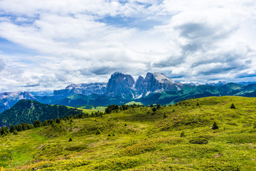 Alpe di Siusi, Seiser Alm with Sassolungo Langkofel Dolomite, a large green field with a mountain in the background