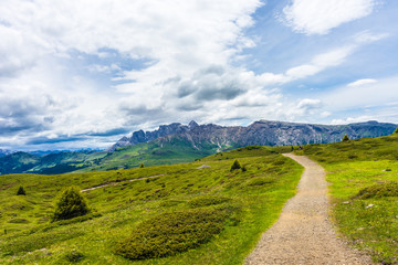 Fototapeta na wymiar Alpe di Siusi, Seiser Alm with Sassolungo Langkofel Dolomite, a trekking walking winding path in a lush green field