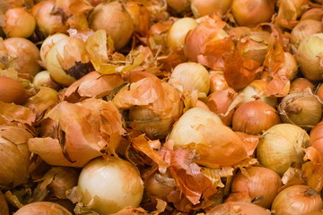 Yellow onions with husks lying on the counter