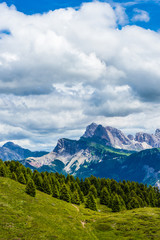 Alpe di Siusi, Seiser Alm with Sassolungo Langkofel Dolomite, a large green field with a mountain in the background