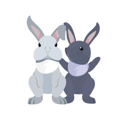 Fototapeta na wymiar cute rabbits cartoon