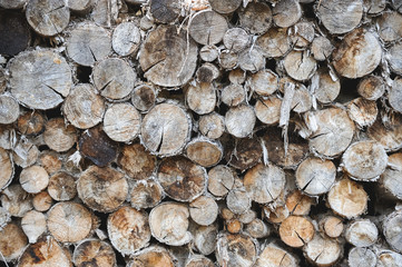 troncos de leña apilados formando un montón