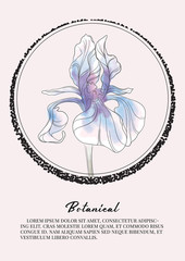 Iris flower watercolor decoration. Botany spring summer art. Floral design for cosmetics, perfume, beauty care products. Can be used as greeting card, wedding invitation.