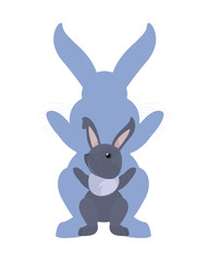 cute rabbit animal