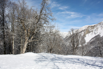 winter in the mountains