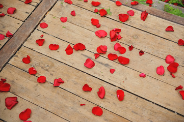 pétalos rojos de rosa sobre tablones de madera