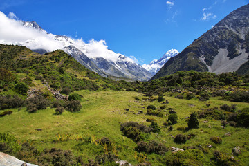 Fototapeta na wymiar Hooker Valley Track, Mount cook, Southern Alps, New Zealand