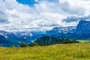 Alpe di Siusi, Seiser Alm with Sassolungo Langkofel Dolomite, a large green field with a mountain in the background
