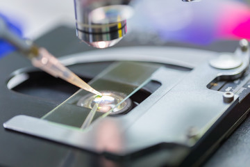 Fototapeta na wymiar Scientist dropping chemical liquid on the slide at microscope