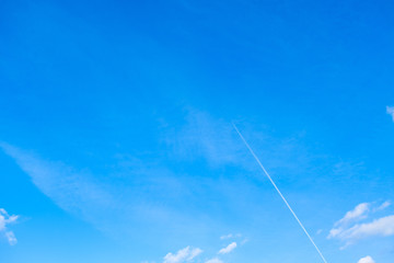 【写真素材】...