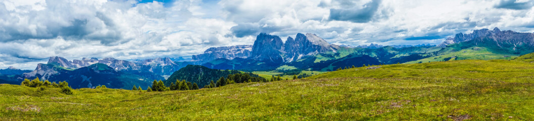 Fototapeta na wymiar Alpe di Siusi, Seiser Alm with Sassolungo Langkofel Dolomite, a large green field with a mountain in the background panorama