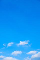 【写真素材】...