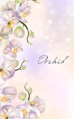 Vector banner with Luxurious orchid flowers for invitation, sales, packaging, natural cosmetics, perfume. Space for text.