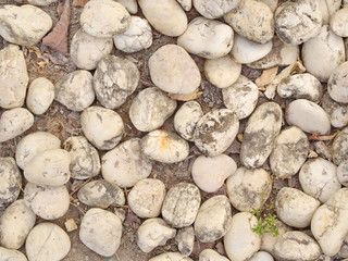 Round Shape Stone and Rock in the Garden in Thailand local Village.
