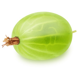 Single gooseberry isolated on a white background.