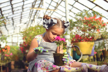 Child planting spring flowers. beautiful girl gardener plants azalea. Child taking care of plants....
