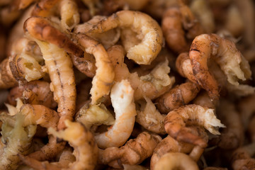 Geschälte Norddeutsche  Nordsee Krabben in Schale sind typische Hausmannskost in Friesland