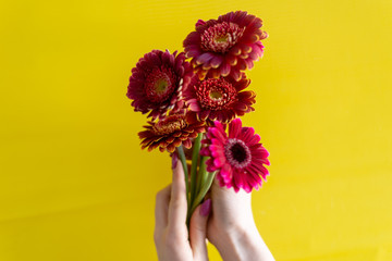 image of a girl holding a flower in her hands on a yellow background