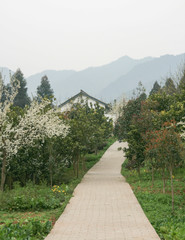 spring landscape in china