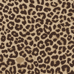 Leopard Fashion Pattern