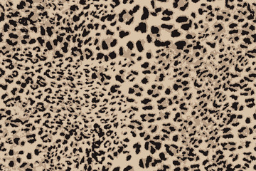Leopard Fashion Pattern