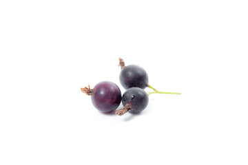 Black currant berry isolated on white. A bunch of black currant..
