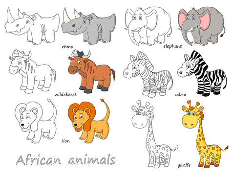 Cartoon african animals outline and colored illustration