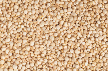 Quinoa seeds
