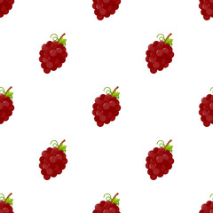 Seamless pattern with grape on white background